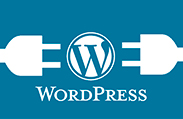 Como o Wordpress pode ajudar meu site